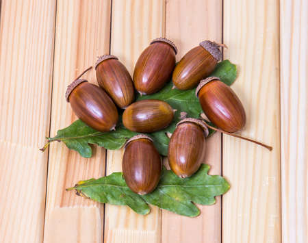Heap of dried acorns with leaves on a wooden background. Top view.の写真素材