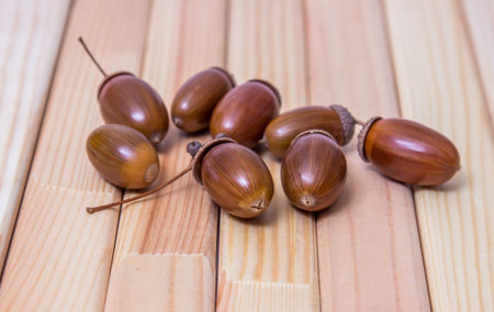 Heap of acorns on a wooden background. Autumn theme.