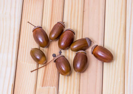 Heap of dried acorns on a wooden background. Autumn theme. Flat lay.の写真素材