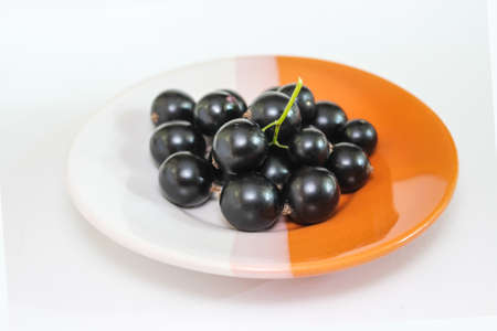 Large ripe berries of a black currant on a plate. Ripe fruit. Close-up.の写真素材