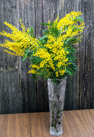 Beautiful bright bouquet of mimosa on a wooden background. Spring bouquet with yellow flowers and green leaves. Spring Festival.の写真素材