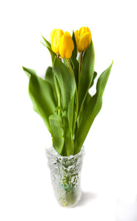 Yellow tulips (Tulipa fosteriana) in a vase. Spring flowers. The symbol of spring.の写真素材