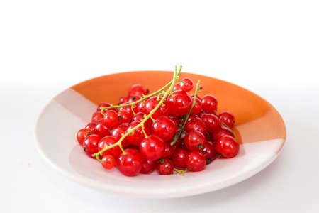 Ripe red currants. A bunch of red currants on a plate. Transparent red berries.の写真素材
