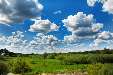 Azure sky with white clouds. Green field with fresh grass. Perspective view.の写真素材