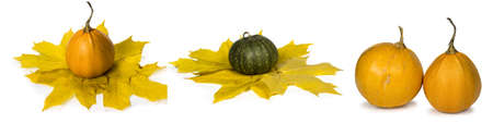 Bright ripe pumpkins and autumn leaves. Isolated on white background. Autumn concept. Set of 3 images.の写真素材