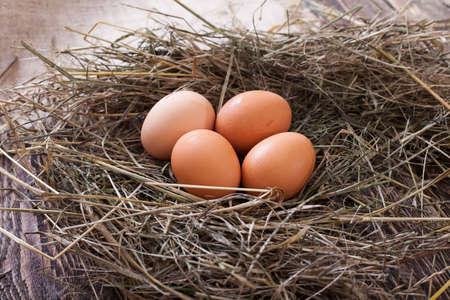Chicken eggs in the chicken coop. Eggs lie in the hay on wooden boards.の写真素材