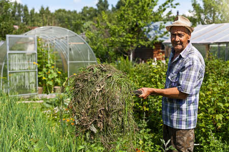 An old farmer with pitchforks. Work on the farm. Hay making.の写真素材