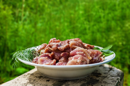 Fresh meat for a barbecue. Plate with meat on a background of greenery. Summer sunny day outside.の写真素材