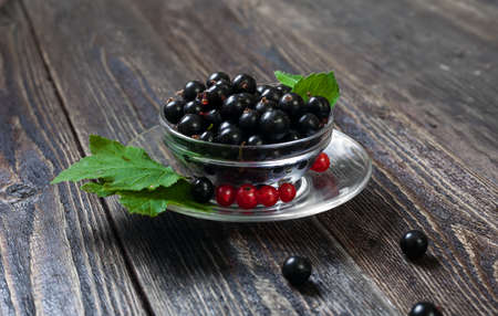 A glass cup with ripe forest berries. Large black currant berries. Harvest of berries on the farm.の写真素材