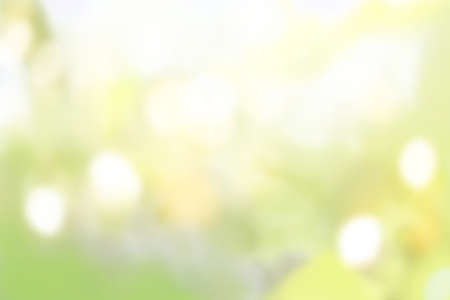 Beautiful bokeh green background from the natureの写真素材