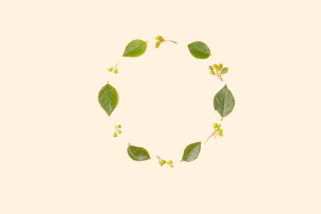Wreath of leaves and berries on a light background - minimal creative composition