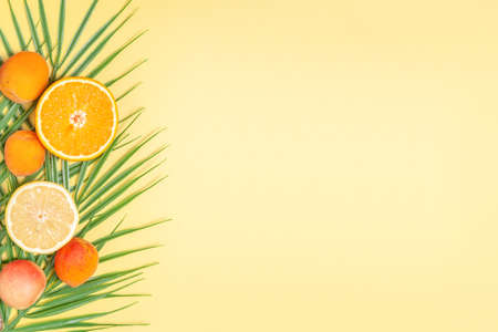 Bright summer background - creative composition with palm leaves, oranges, lemons and apricotsの写真素材