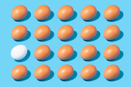 Creative pattern of brown eggs and one white egg - concept on the topic don't be like everyone elseの写真素材