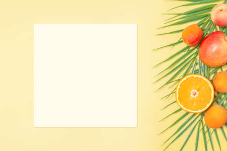 Summer tropical white paper card mockup with tropical fruits and palm leaves backgroundの写真素材