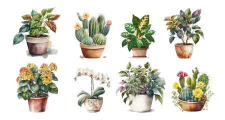 Home flowers in pots: ficus, phalaenopsis, anthurium, cacti, colanchoe and others. Watercolor clipart on a white background. Large set.の素材