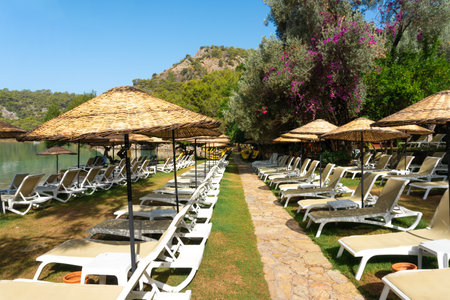 Sun loungers and umbrellas along a sandy beach at a tropical resort. It's a clear summer day, offering a peaceful and tranquil atmosphere.の写真素材
