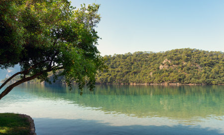 Calm waters of the blue lagoon under a clear sky on a summer day. The perfect place for a summer holiday.の写真素材