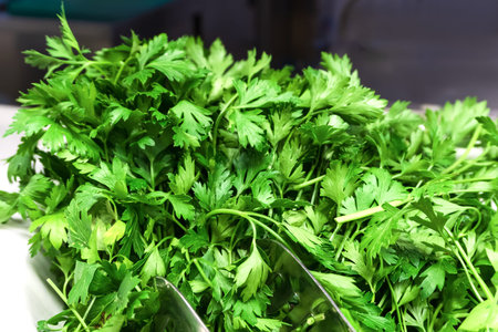 A large plate filled with fresh parsley. Side view Selective focus.