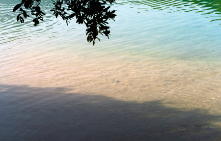 Calm blue waters of the lagoon under a clear summer sky. Small fish can be seen swimming near the shore.の写真素材