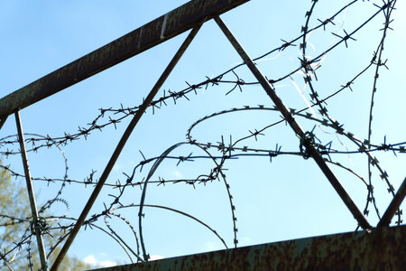 Barbed wire against the blue sky. Freedom restriction concept. Conceptual image.