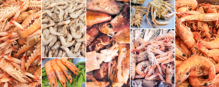 A collage of fresh seafood including fish, shrimp, lobsters, and squid. A seafood menu in a restaurant setting.の写真素材