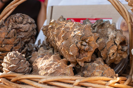 A pile of pine cones in a wooden barrel at a farmers market. Close-up view of resinous cedar cones...