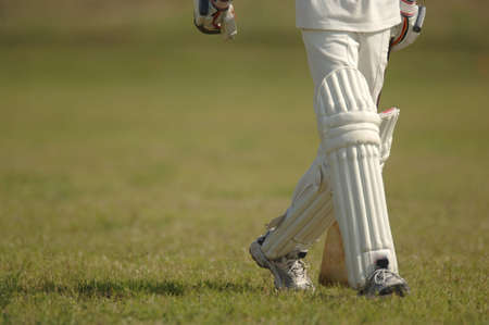 Cricket matchの写真素材