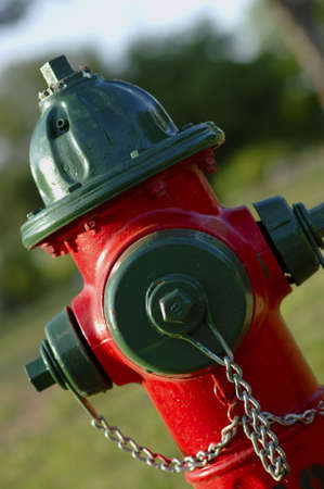 Red and Green Fire Hydrantの写真素材