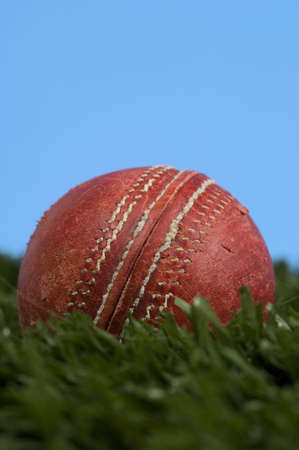 cricket ball on grass and a blue skyの写真素材