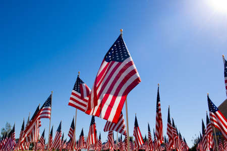 Unitied States Flags displayed as tribute of military veterans in the United States of Americaの写真素材