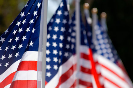 Unitied States Flags displayed as tribute of military veterans in the United States of America