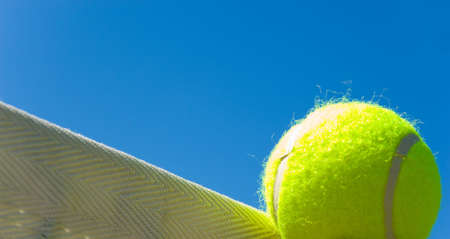 Bright greenish, yellow tennis ball on freshly painted cement courtの写真素材