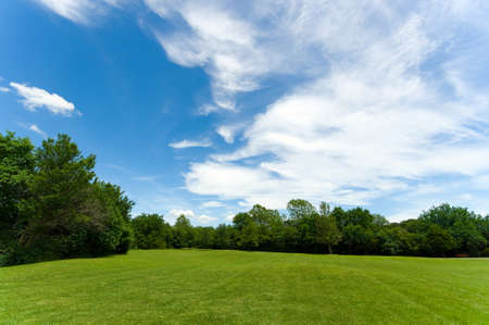 Beautiful park scene with trees, grass and a party cloudy blue skyの写真素材