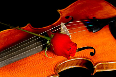 Violin with a red rose on a black backgroundの写真素材