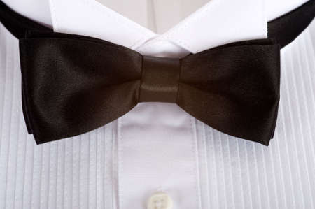 A backgound consisting of a tuxedo shirt with a black silk tie with copy space, formal attire for wedding or waiter or service personellの写真素材