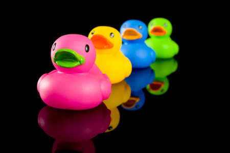A variety of colorful ducks on a black background, individualtiy, uniqueness or variety concept.  の写真素材