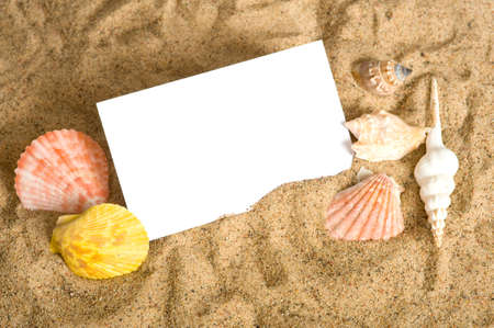 A blank notecard surrounded by sea shells and sand with copy spaceの写真素材