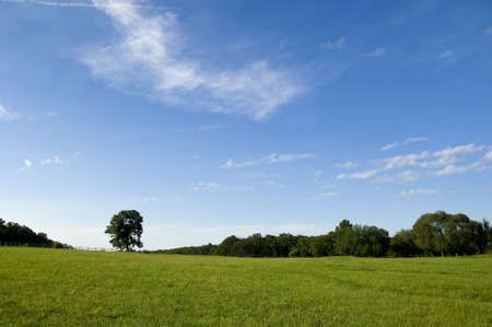 A beautiful meadow or farm field on a summer day with copy spaceの写真素材