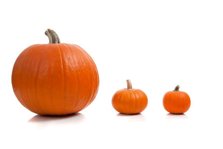 An assortment of pumpkins on a white backgroundの写真素材