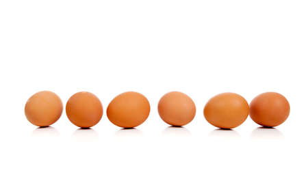 Brown whole eggs in a row on a white background with copy spaceの写真素材