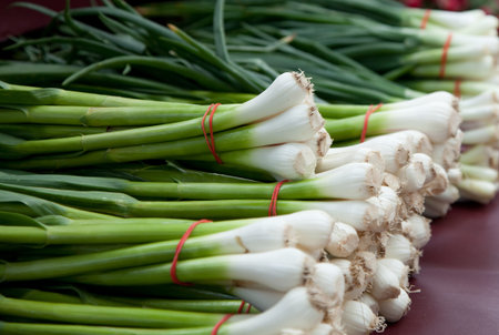 Several bundles of green onions
