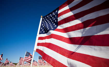 Large group of American Flags commemorating a national holiday, veterans day, independence day, 9/11, etcの写真素材