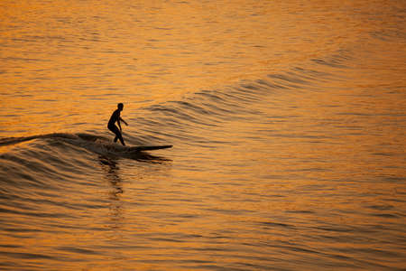 Single surfer at sunset on a calm oceanの写真素材
