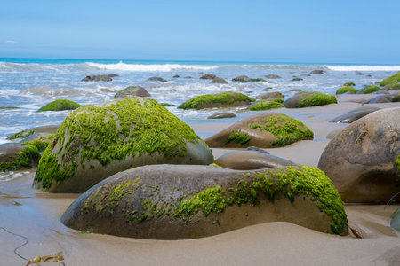 A seascape with moss covered rock on California coastの写真素材