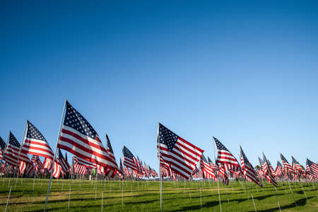 A large group of American flags. Veterans or Memorial day displayの写真素材