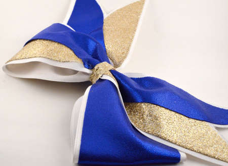A Cheerleader Bowの写真素材