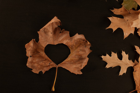Autumn leaf with cutout heart on wooden background, Autumn backgroundの写真素材