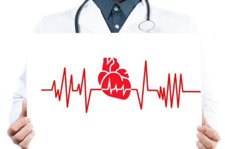 Male Doctor is showing heart. Medicine Conceptの写真素材