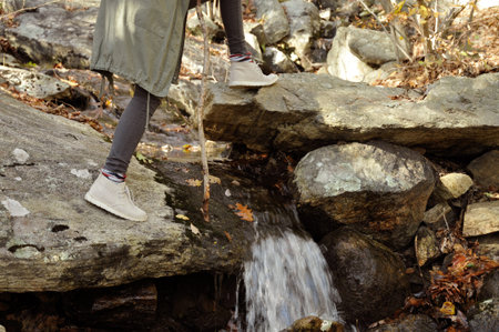 Hiking, camp, adventure, traveling and friendship concept. Girl walking in autumn forest in the...