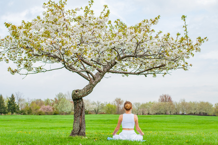 Beautiful young woman is practicing yoga or meditating sitting in Lotus pose near blossom tree at the park. Meditation Padmasana pose.の写真素材